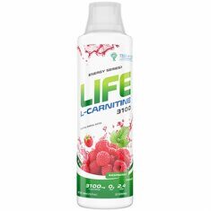 Tree of Life Life L-Carnitine 3100, 500 мл